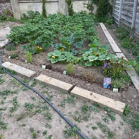 Lumineux A 100m Berck